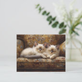 Siamese Kittens Napping Vintage Couch Postkarte (Stehend Vorderseite)