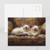 Siamese Kittens Napping Vintage Couch Postkarte (Vorne/Hinten)