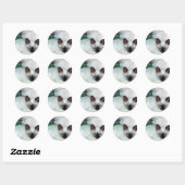 Siamese Kittens Sticker (Blatt)