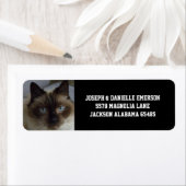 Siamese Kitty Address Labels (Insitu)