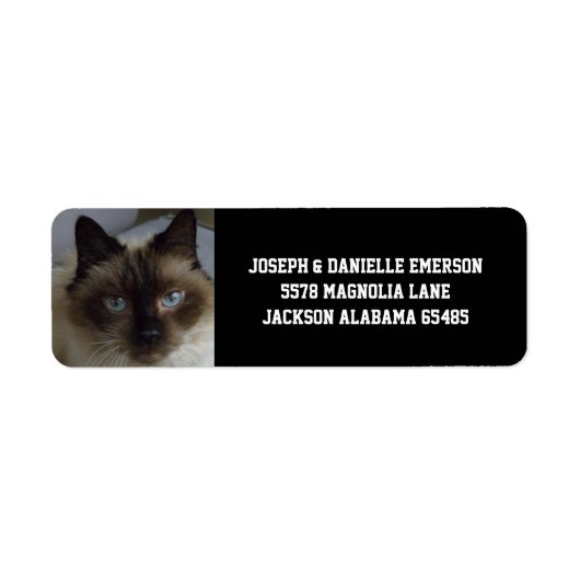 Siamese Kitty Address Labels (Vorne)