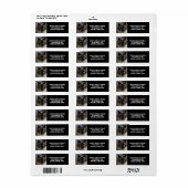 Siamese Kitty Address Labels (Vorne)