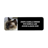 Siamese Kitty Address Labels (Vorne)