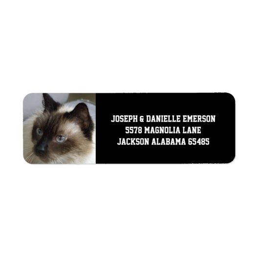 Siamese Kitty Address Labels (Vorne)
