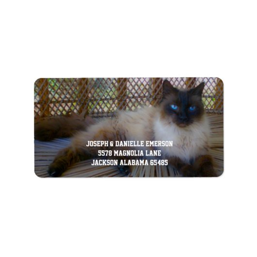Siamese Kitty Address Labels Adressaufkleber (Vorne)