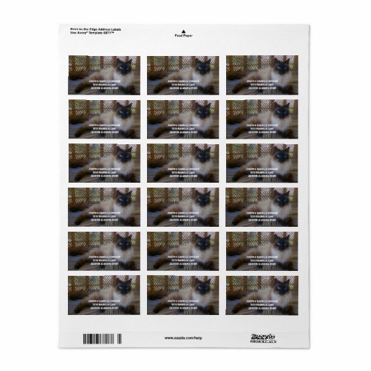 Siamese Kitty Address Labels Adressaufkleber (Vorne)