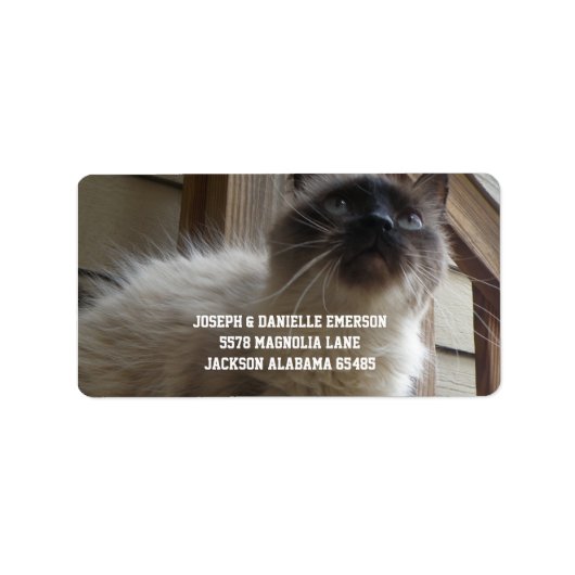 Siamese Kitty Address Labels Adressaufkleber (Vorne)