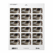 Siamese Kitty Address Labels Adressaufkleber (Vorne)