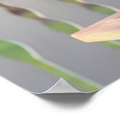 Siamese Kitty Cat Anpassbares Poster (Ecke)