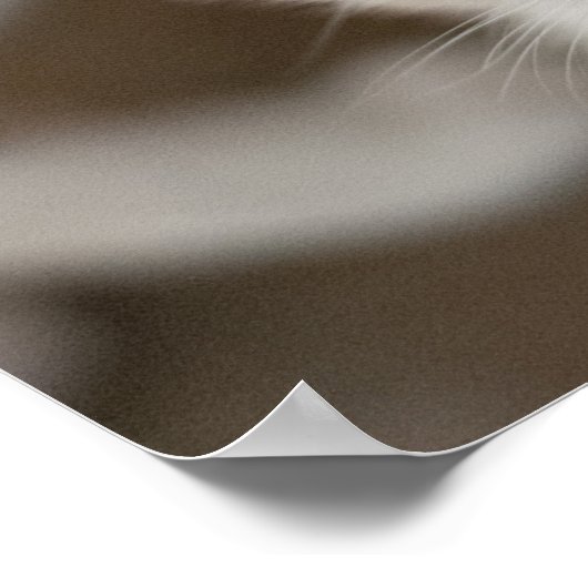 Siamese Kitty Cat Anpassbares Poster (Ecke)