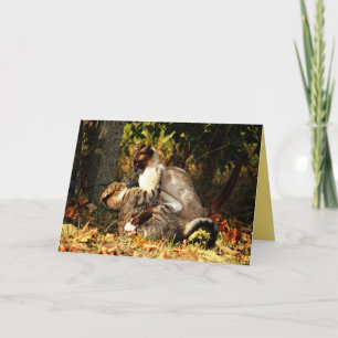 Siamese Kitty Cat Niedliche individuell anpassbare Karte