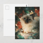 Siamese Point Katze Weihnachten Postkarte (Vorne/Hinten)