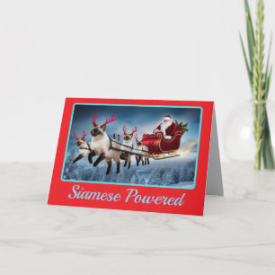 Siamese Reindeer Karte