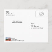 Siamese Twins Colorado Sunburst Postkarte (Rückseite)