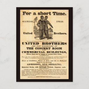 Siamese Twins Vintage Ad Postkarte