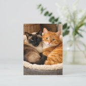 Siamese und Ginger Süße Katzen Postkarte (Stehend Vorderseite)