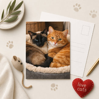 Siamese und Ginger Süße Katzen Postkarte