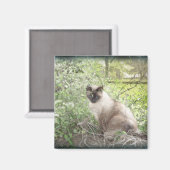 Siamese und Reben Magnet (Vorderseite/Rückseite)