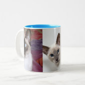 SIAMESE ZWEIFARBIGE TASSE (Vorderseite Links)