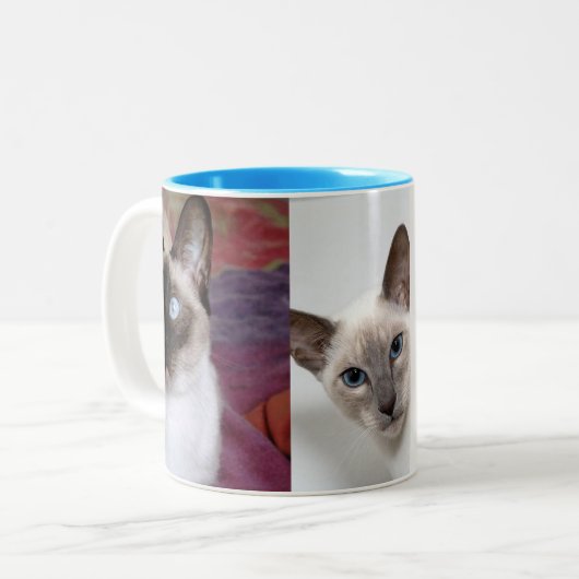 SIAMESE  ZWEIFARBIGE TASSE (Vorderseite Links)