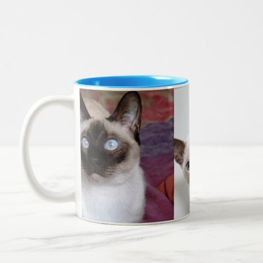 SIAMESE  ZWEIFARBIGE TASSE (Links)