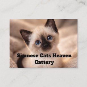 Siamesen Katzen Himmel Cattery Anpassbare Geschäft Visitenkarte