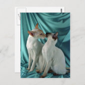 Siamesen, rote Punkte und Siegel Postkarte (Vorne/Hinten)