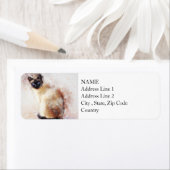 siamesisch | ABSTRAKT | Wasserfarbe (Insitu)