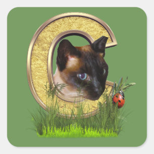 Siamesisch-Hauptstadt-Monogramm-Buchstaben C Quadratischer Aufkleber