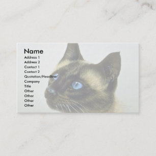 Siamesisch (Hauptstudie) Visitenkarte