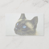 Siamesisch (Hauptstudie) Visitenkarte (Rückseite)