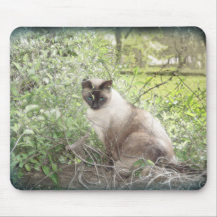 Siamesisch u. Reben Mousepad