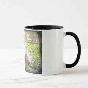 Siamesisch u. Reben Tasse