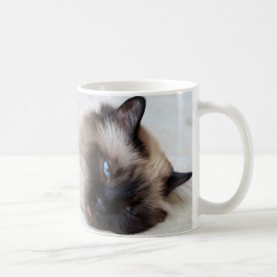 Siamesische Kaffeetasse