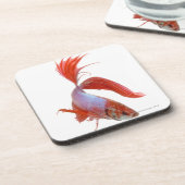 Siamesische kämpfende Fische (Betta splendens) Untersetzer (Linke Seite)