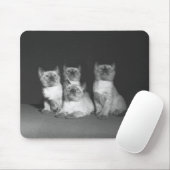 Siamesische Kätzchen, die oben B&W schauen Mousepad (Mit Mouse)
