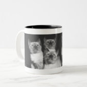 Siamesische Kätzchen, die oben B&W schauen Zweifarbige Tasse (Vorderseite Links)