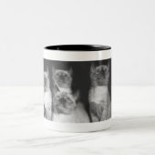 Siamesische Kätzchen, die oben B&W schauen Zweifarbige Tasse (Mittel)
