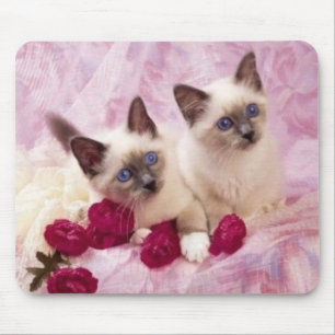 siamesische Kätzchen Mousepad