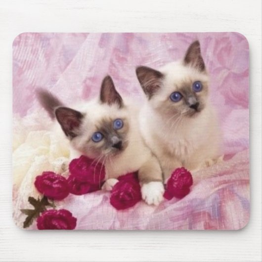 siamesische Kätzchen Mousepad (Vorne)