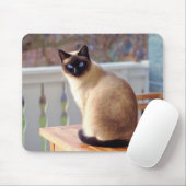 Siamesische Katze, blaue Augen-Mäusematte Mousepad (Mit Mouse)