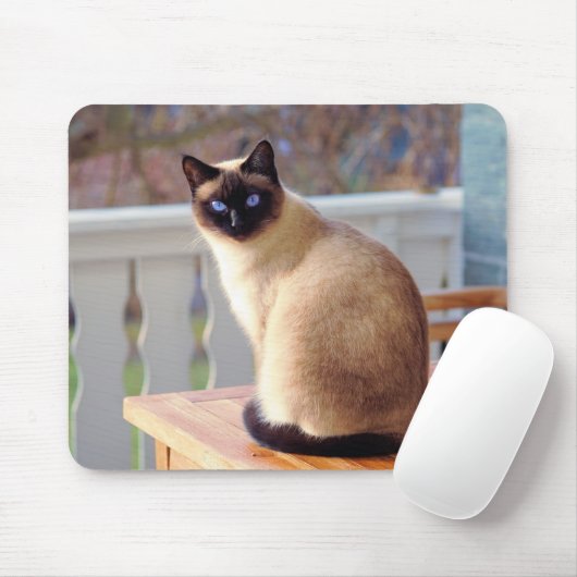 Siamesische Katze, blaue Augen-Mäusematte Mousepad (Mit Mouse)