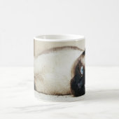 Siamesische Katze Coffe Tasse (Mittel)