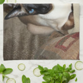 Siamesische Katze, die auf Couch sich entspannt Küchentuch (Gefaltet)