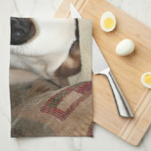 Siamesische Katze, die auf Couch sich entspannt Küchentuch (Viertel Falte)