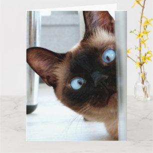 SIAMESISCHE KATZE GUCKT ZUM GEBURTSTAG GRATULATION KARTE