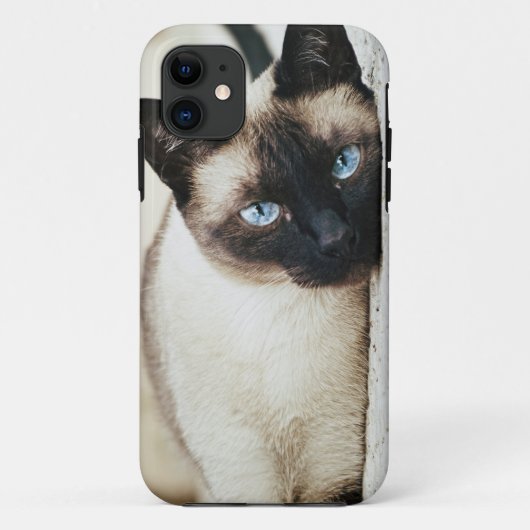 siamesische Katze iphone Fall Case-Mate iPhone Hülle (Rückseite)