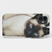 siamesische Katze iphone Fall Case-Mate iPhone Hülle (Rückseite (Horizontal))