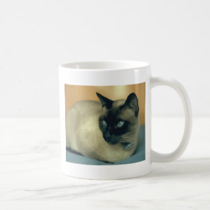 Siamesische Katze Kaffeetasse