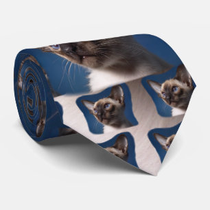 Siamesische Katze mit blauen Augen Krawatte